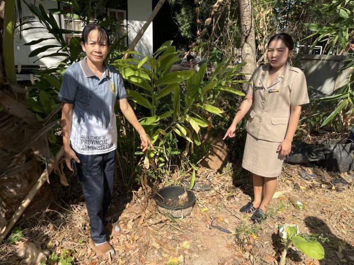 วันที่ ๔ ธันวาคม ๒๕๖๗ งานสาธารณสุข สำนักปลัด ลงพื้นที่สำรวจและขับเคลื่อนโครงการถังขยะเปียก ลดโลกร้อนในระดับครัวเรือน บ้านศรีวิไล หมู่ที่ ๖